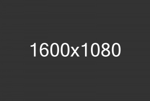 1600x1080 3