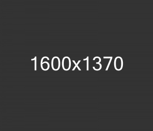 1600x1370 3
