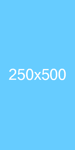 250×500