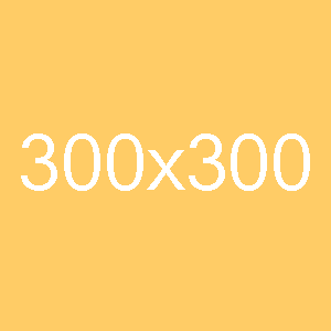 300×300