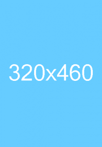 320x460 3
