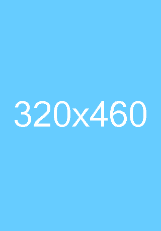 320×460