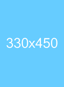 330x450 3