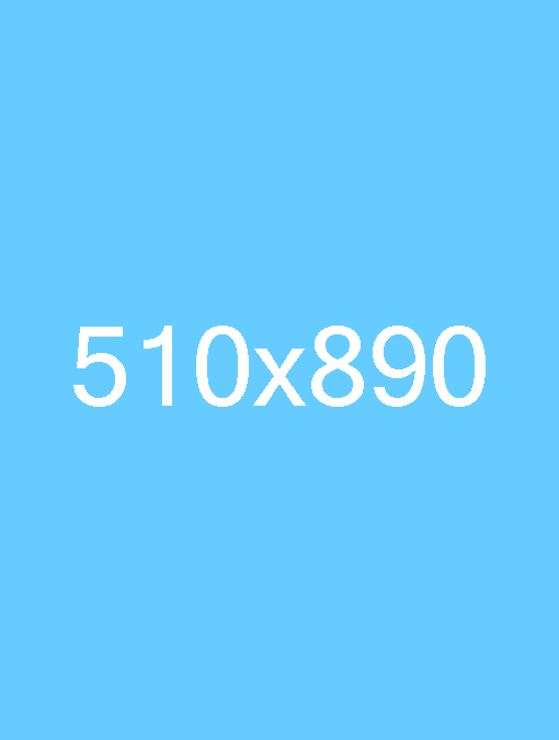 510×890