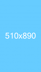 510x890 3