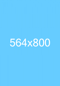 564x800 3