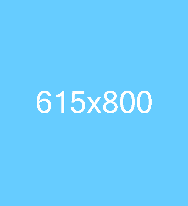 615×800