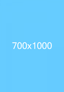 700x1000 3