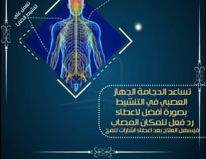 الجهاز العصبي 3