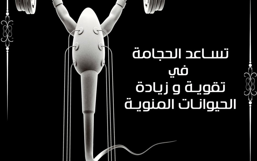 تساعد الحجامة في تقوية ةزيادة الحيوانات المنوية