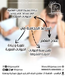 الحجامة تساعد على علاج العقم وتقليل نسبة الحيوانات المنوية المشوهة 3