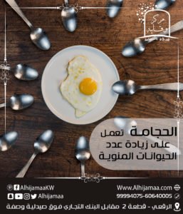 الحجامة تعمل على تنشيط وزيادة الحيوانات المنوية عند الرجال 3