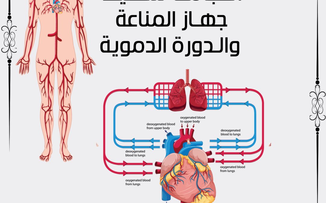 الحجامة تعمل على تنشيط جهاز المناعة و تنشيط الدورة الدموية