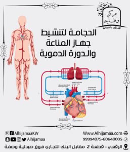 الحجامة تعمل على تنشيط جهاز المناعة و تنشيط الدورة الدموية 3